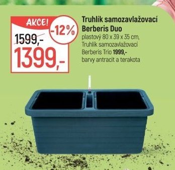 Truhlík samozavlažovací Berberis Duo