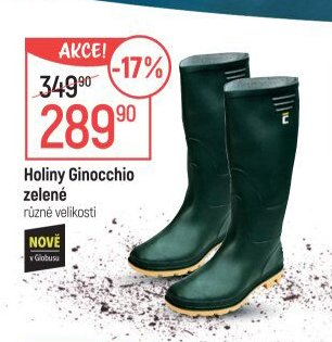 Holiny Ginocchio zelené