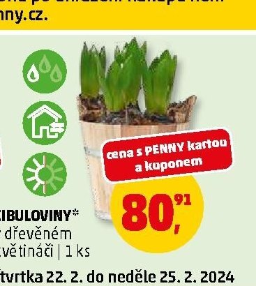 CIBULOVINY
