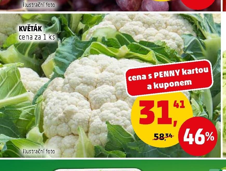 KVĚTÁK