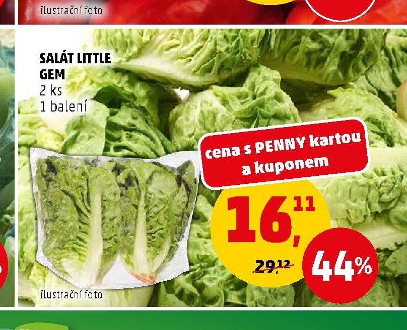SALÁT LITTLE GEM