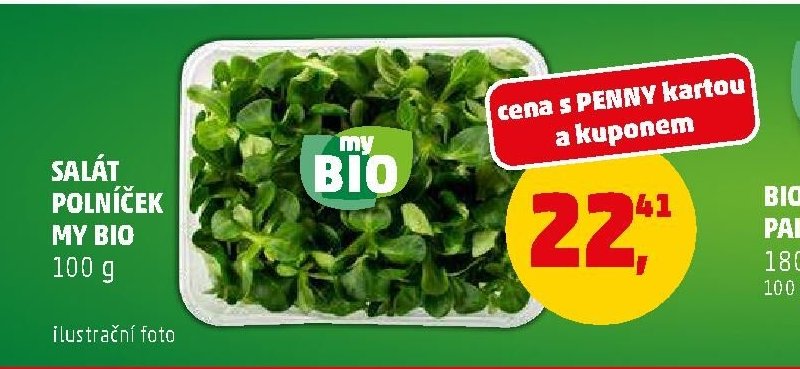 SALÁT POLNÍČEK MY BIO