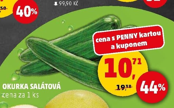 Okurka salátová