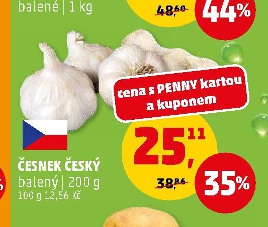 Česnek český