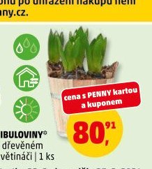 CIBULOVINY