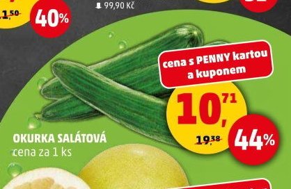 OKURKA SALÁTOVÁ