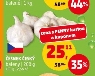 Česnek český
