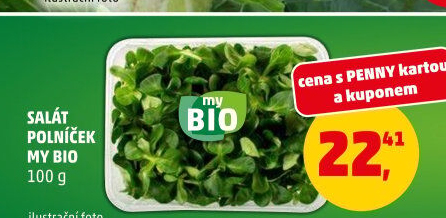 Salát polníček My BIO