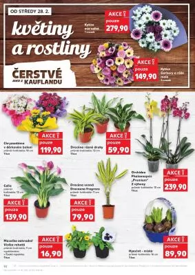 akční leták Kaufland 28.2.2024-5.3.2024