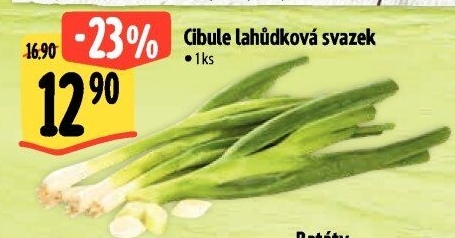 Jarní cibule svazek