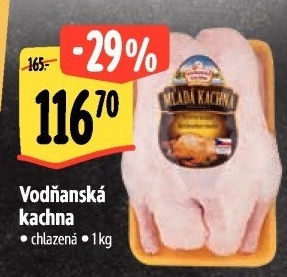 Kachna Vodňanská kachna
