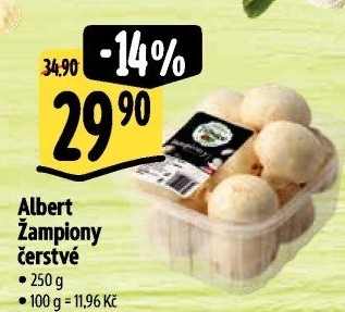 Žampiony Albert