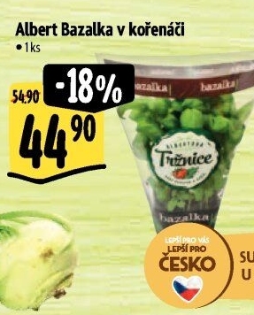 Bylinky v květináči Albert