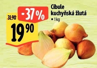 Cibule kuchyňská žlutá