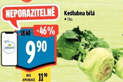 Kedlubna bílá