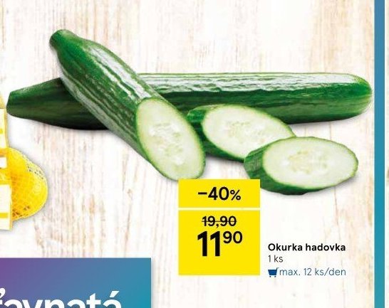 Okurka hadovka