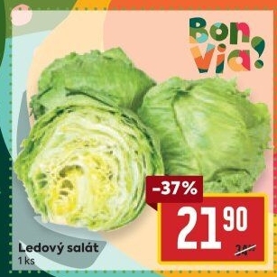 Salát ledový Billa Bonvia