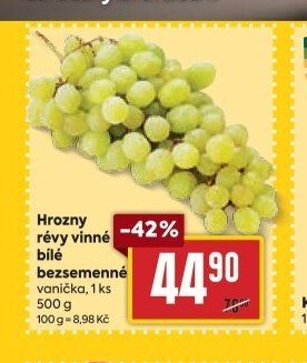 Hrozny révy vinné bílé bezsemenné