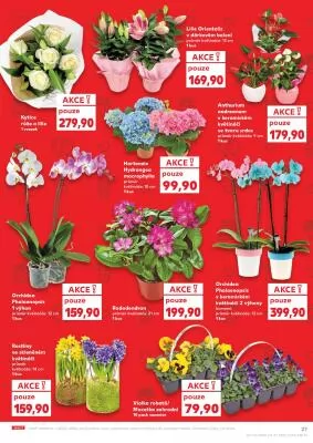 akční leták Kaufland 6.3.2024-12.3.2024