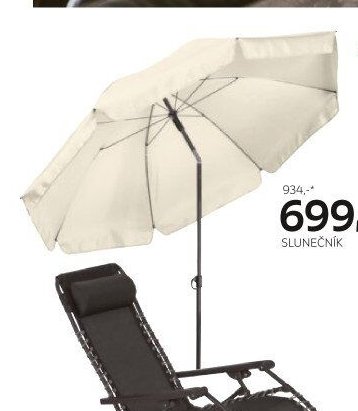 Slunečník