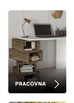 PRACOVNA