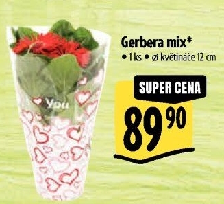 Gerbera