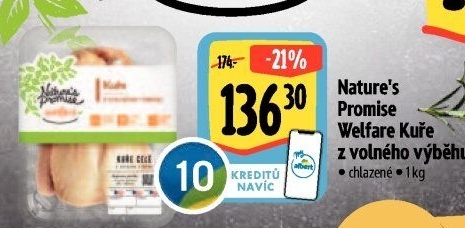 Kuře Welfare Nature'