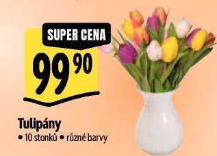 Řezané tulipány