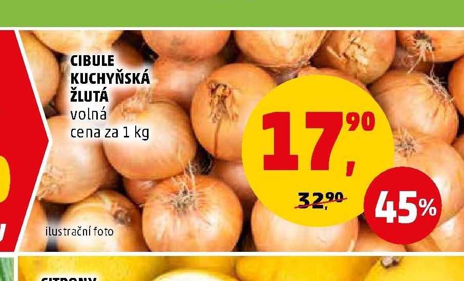Cibule kuchyňská
