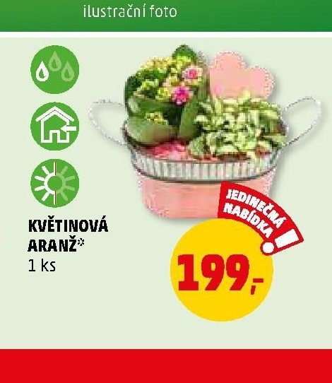 Květinová aranž