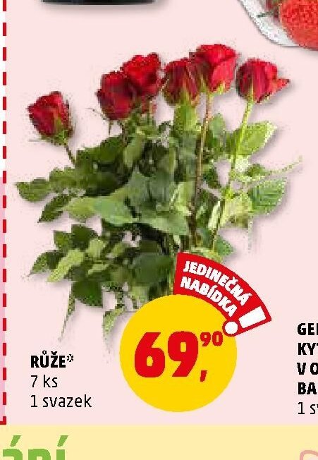 RŮŽE