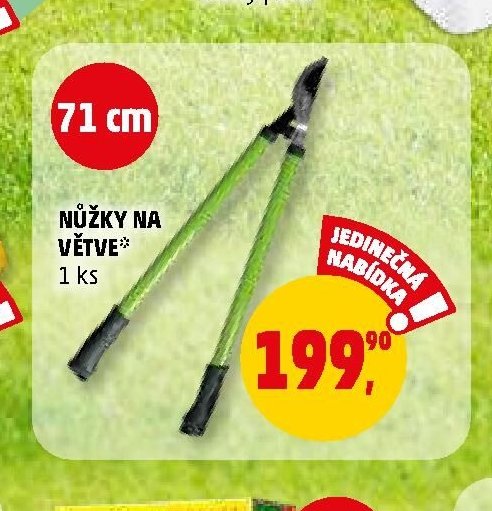 NŮŽKY NA VĚTVE