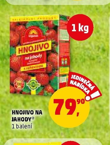 HNOJIVO NA JAHODY