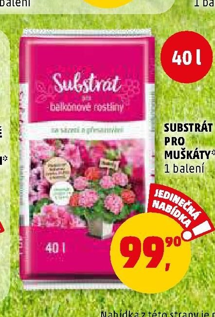 SUBSTRÁT PRO MUŠKÁTY