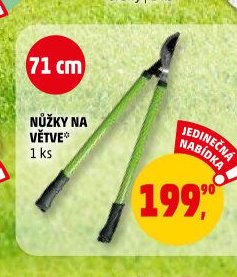 NŮŽKY NA VĚTVE