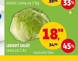 LEDOVÝ SALÁT