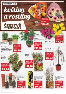 akční leták Kaufland 13.3.2024-19.3.2024