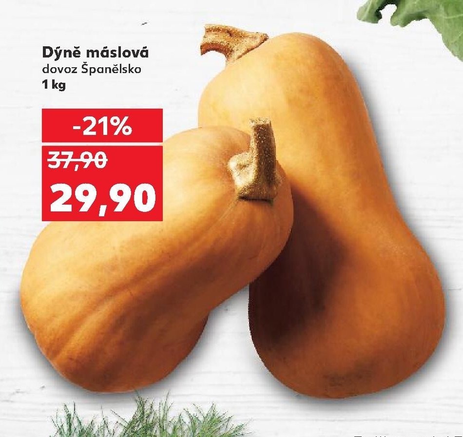 Dýně máslová