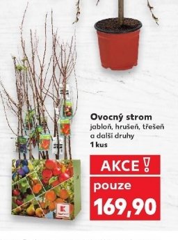 Ovocný strom