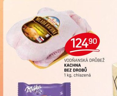 VODŇANSKÁ DRŮBEŽ KACHNA BEZ DROBŮ