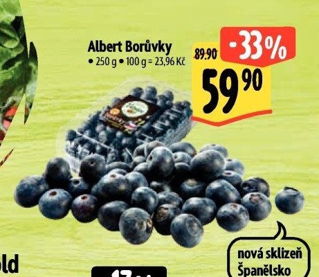 Albert Borůvky