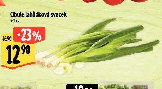 Cibule lahůdková svazek