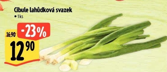 Jarní cibule svazek