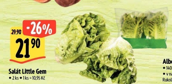 Salát little gem