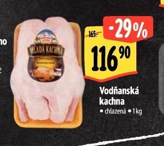 Vodňanská kachna