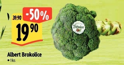 Brokolice Albert