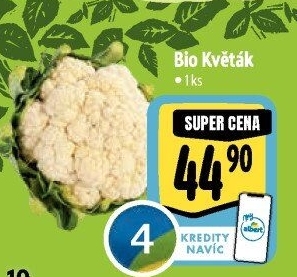 Květák bio
