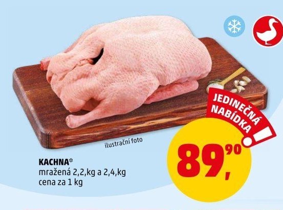 KACHNA mražená