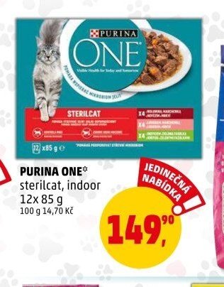 PURINA ONE
