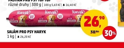 SALÁM PRO PSY HARYK